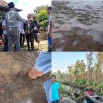 Pemkab Muara Enim Membiarkan Tangisan Warganya Selama Puluhan Tahun, PT R6B Diduga Jadi Biang Luka