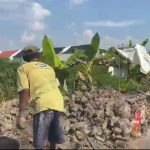 “Proyek PDAM Kalidoni Diduga Langgar Aturan KIP, Papan Informasi & Standar K3 Absen di Lapangan”