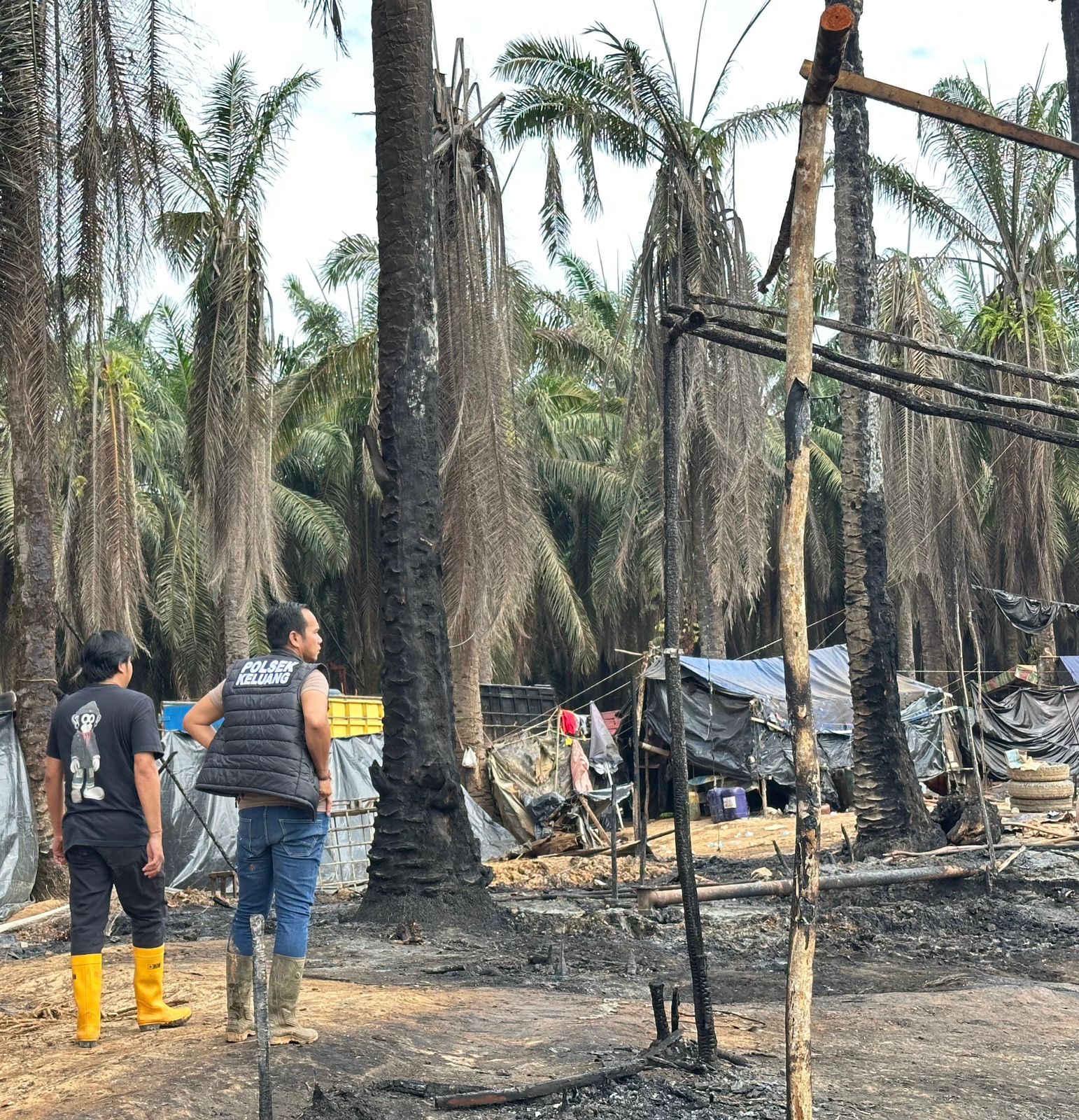 Kebakaran Terus Terjadi di Kawasan PT Hindoli Diduga ada main mata dengan APH 
