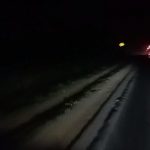 Pajak PJU Dipungut, Jalan Tetap Gelap, Pemerintah Banyuasin Dinilai Lalai Penuhi Hak Warga