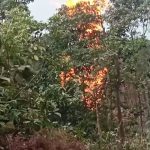 Kembali terjadi Di Sanga Desa Sumur Minyak Ilegal Terbakar.