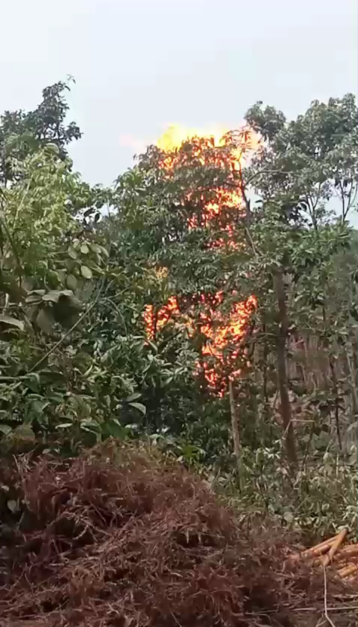 Kembali terjadi Di Sanga Desa Sumur Minyak Ilegal Terbakar.