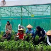 Panen Sayur dan Vaksinasi Rabies Gratis, Pemkot Lubuk Linggau Dukung Gerakan Zero Rabies