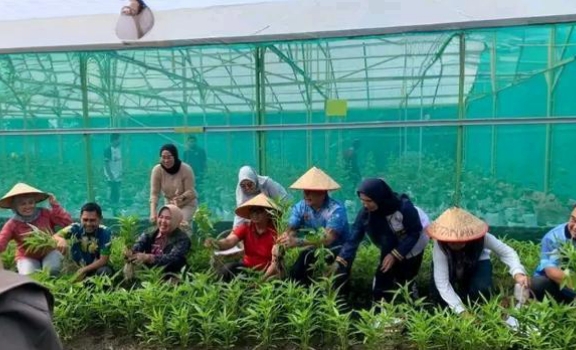 Panen Sayur dan Vaksinasi Rabies Gratis, Pemkot Lubuk Linggau Dukung Gerakan Zero Rabies