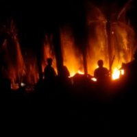 Wow, Sumur Minyak Ilegal Driling Lahan PT Hindoli Terbakar.