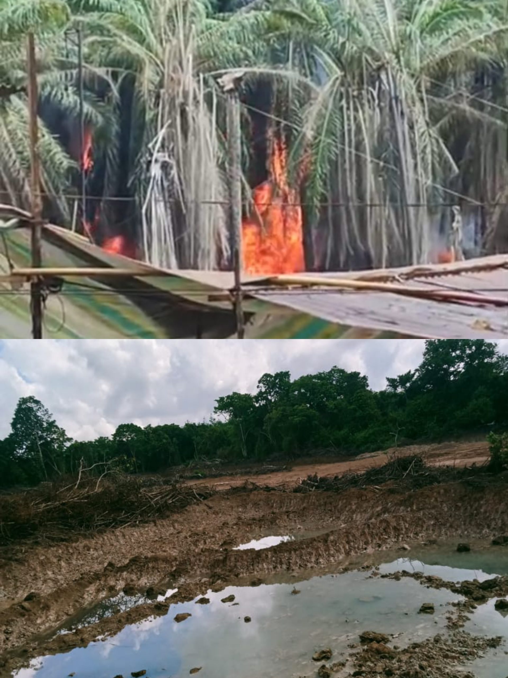 Penegakan Hukum Mandul, Usaha Ilegal di Muba Kian Menjamur