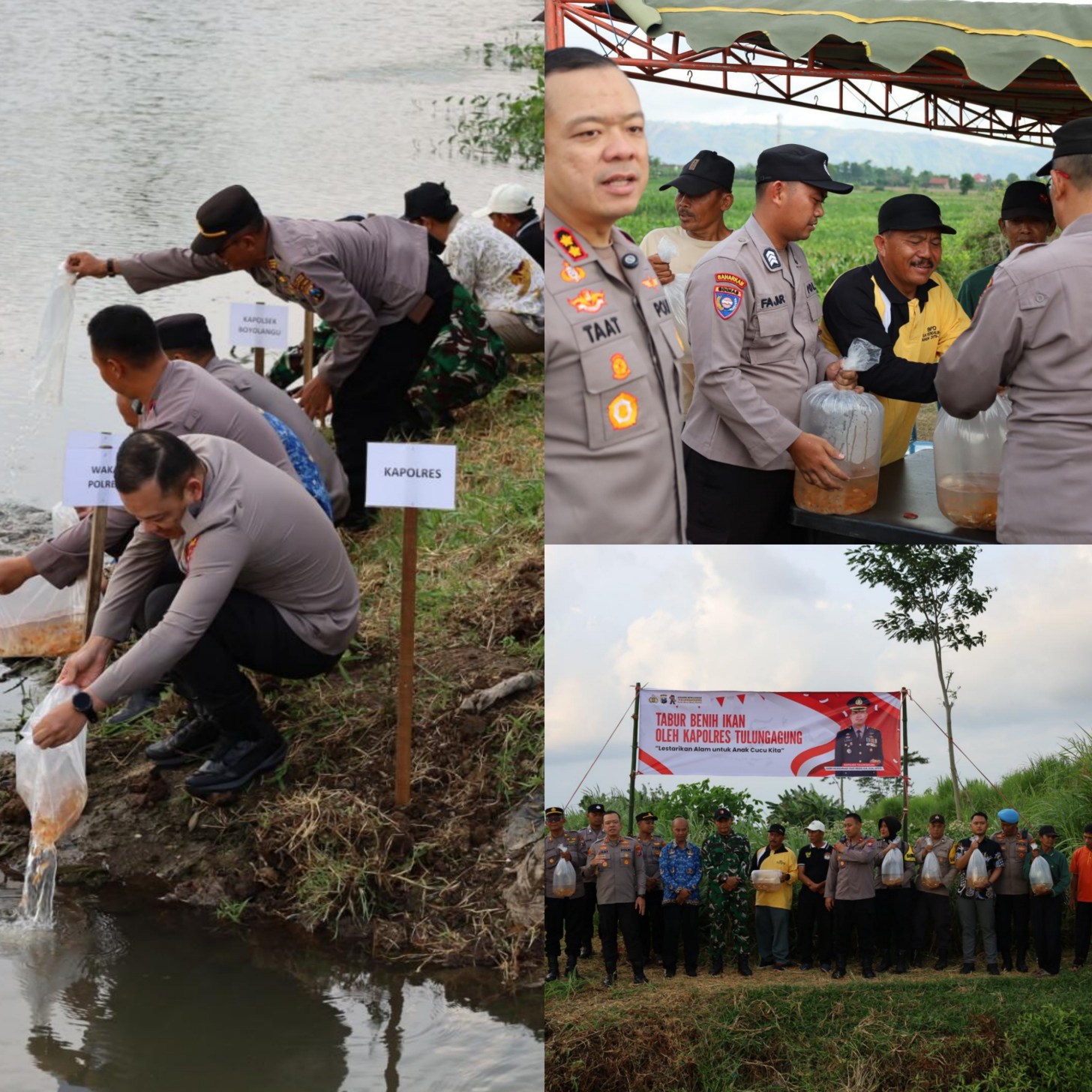 Jaga Ekosistem Sungai Polres Tulungagung Tebar 5.000 Benih Ikan Tombro di Boyolangu.