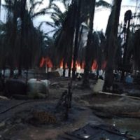 Sumur Minyak Ilegal Kembali Terbakar, APH Diduga Tutup Mata