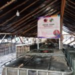 Koperasi Inkotani Perindo Tidak Terdaftar, Ketua IWO Muba Pertanyakan Legitimasi Koperasi yang Menaungi Ilegal Refinery