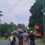 Sinergitas Pemdes, TNI-Polri, dan Tokoh Masyarakat Wujudkan Jalur Aman Melalui Penebangan Pohon di Parsanga