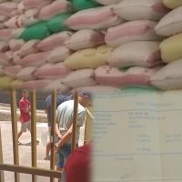 Jagung 20 Ton Senilai Rp.120 juta Belum Dibayar Oleh CV. PMJF, Pemilik Kecewa