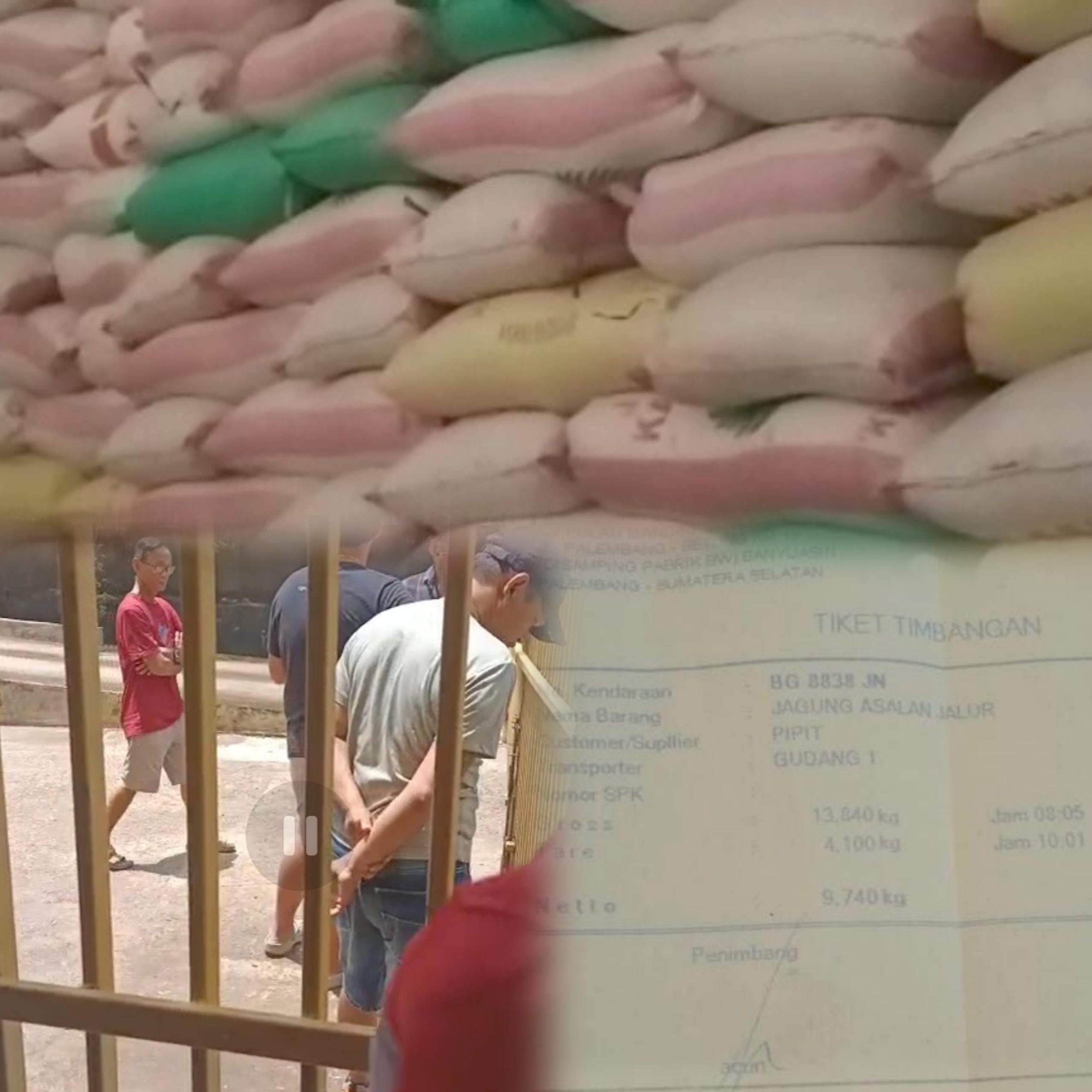 Jagung 20 Ton Senilai Rp.120 juta Belum Dibayar Oleh CV. PMJF, Pemilik Kecewa