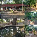 Wisata Penawar Asri : Ketapang Ujung Barat.