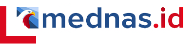 Logo Mednas.id