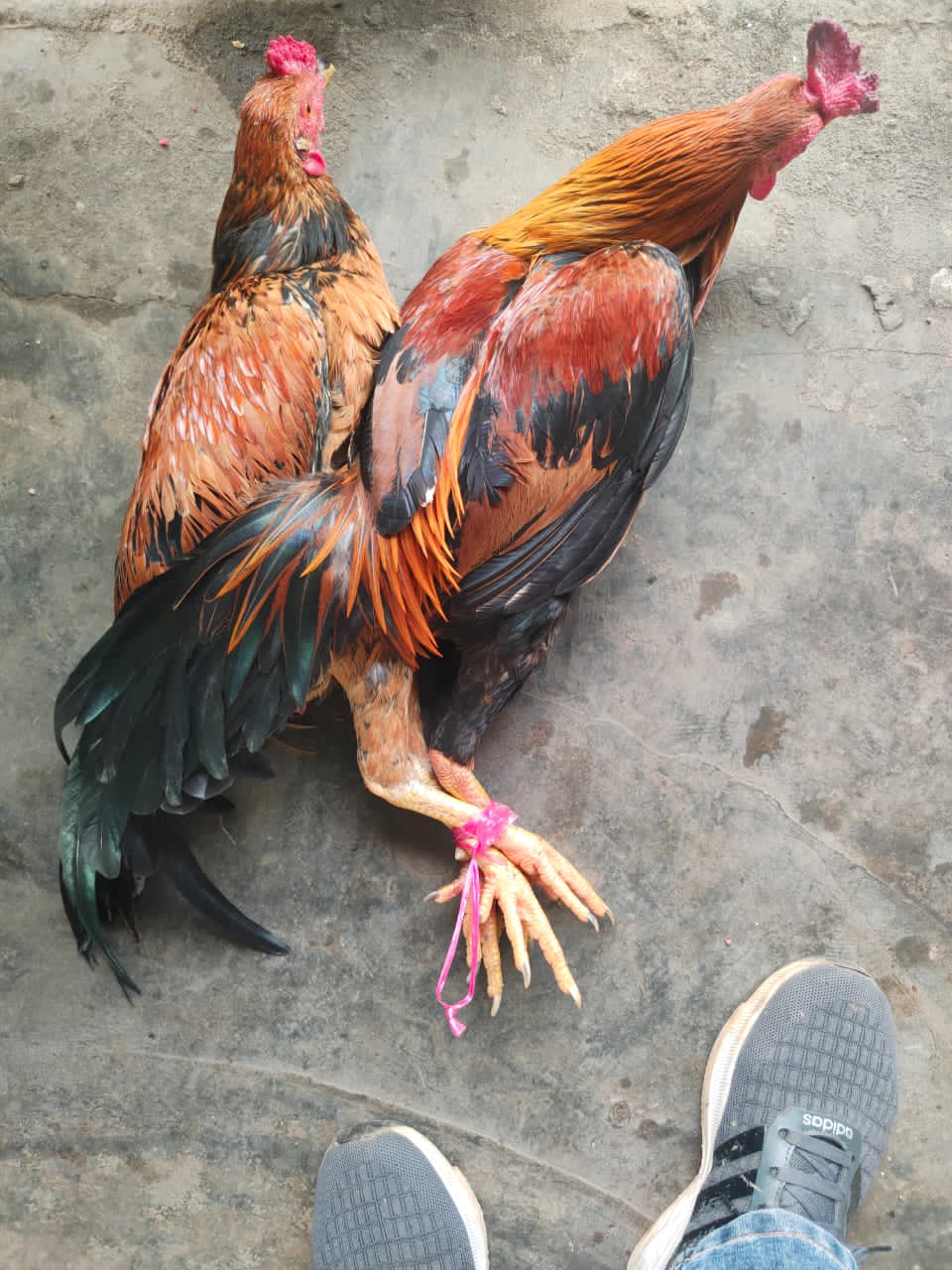 Insan Pers Banyuasin Gelar Syukuran Kepindahan Kapolres – Harapkan Keterbukaan Informasi di Era Baru