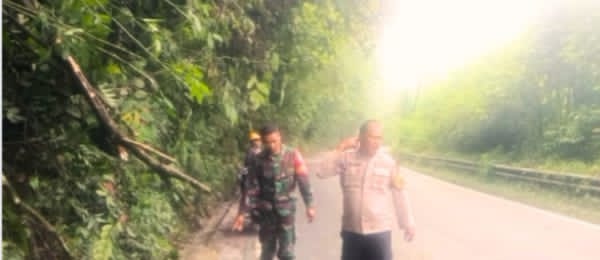 Pohon Tumbang Di Jalan,Koramil, Polsek Sumbul Dan PLN Kerja Sama Membersihkan