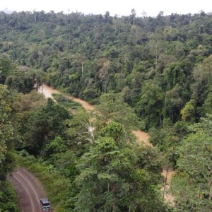 Hutan Desa, Aset Tak Ternilai Yang Perlu Di Lindungi