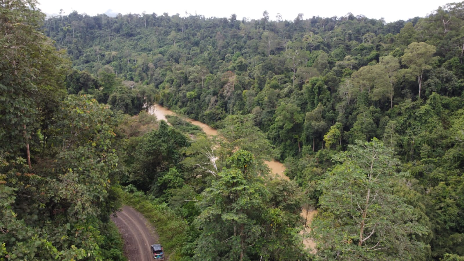 Hutan Desa, Aset Tak Ternilai Yang Perlu Di Lindungi