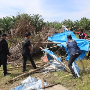 Barak Narkoba di Bhakti Karya Binjai Selatan, Kembali Digrebek dan Dimusnahkan Polres Binjai
