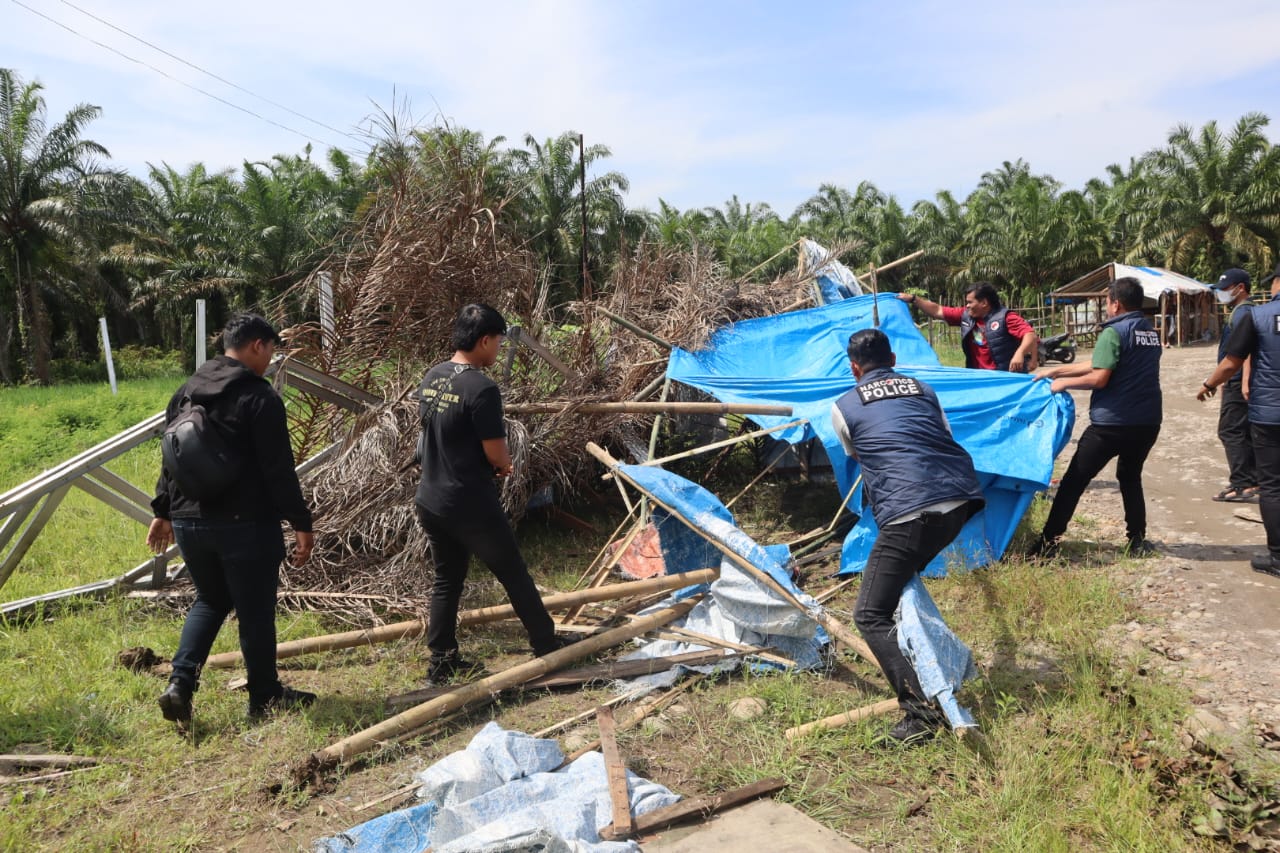 Barak Narkoba di Bhakti Karya Binjai Selatan, Kembali Digrebek dan Dimusnahkan Polres Binjai