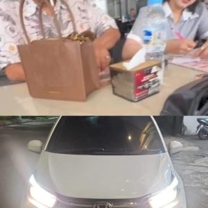 Ketua Aliansi Wartawan Sumatera Utara Kecam Pelecehan terhadap Jurnalis oleh Oknum Kabag Ekonomi Pemko Binjai