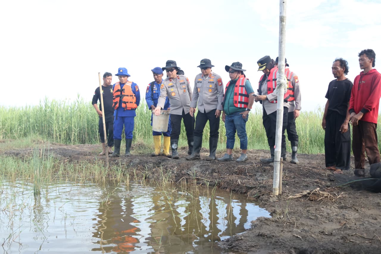 Dukung Program Ketahanan Pangan, Kapolda Metro Jaya Cek Tambak Udang di Muara Gembong