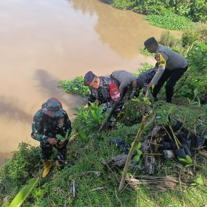 Posbinpotmar Bengkulu Tengah Bersinergi Dengan Koramil dan Polsek Pondok Kelapa Tanam Mangrove
