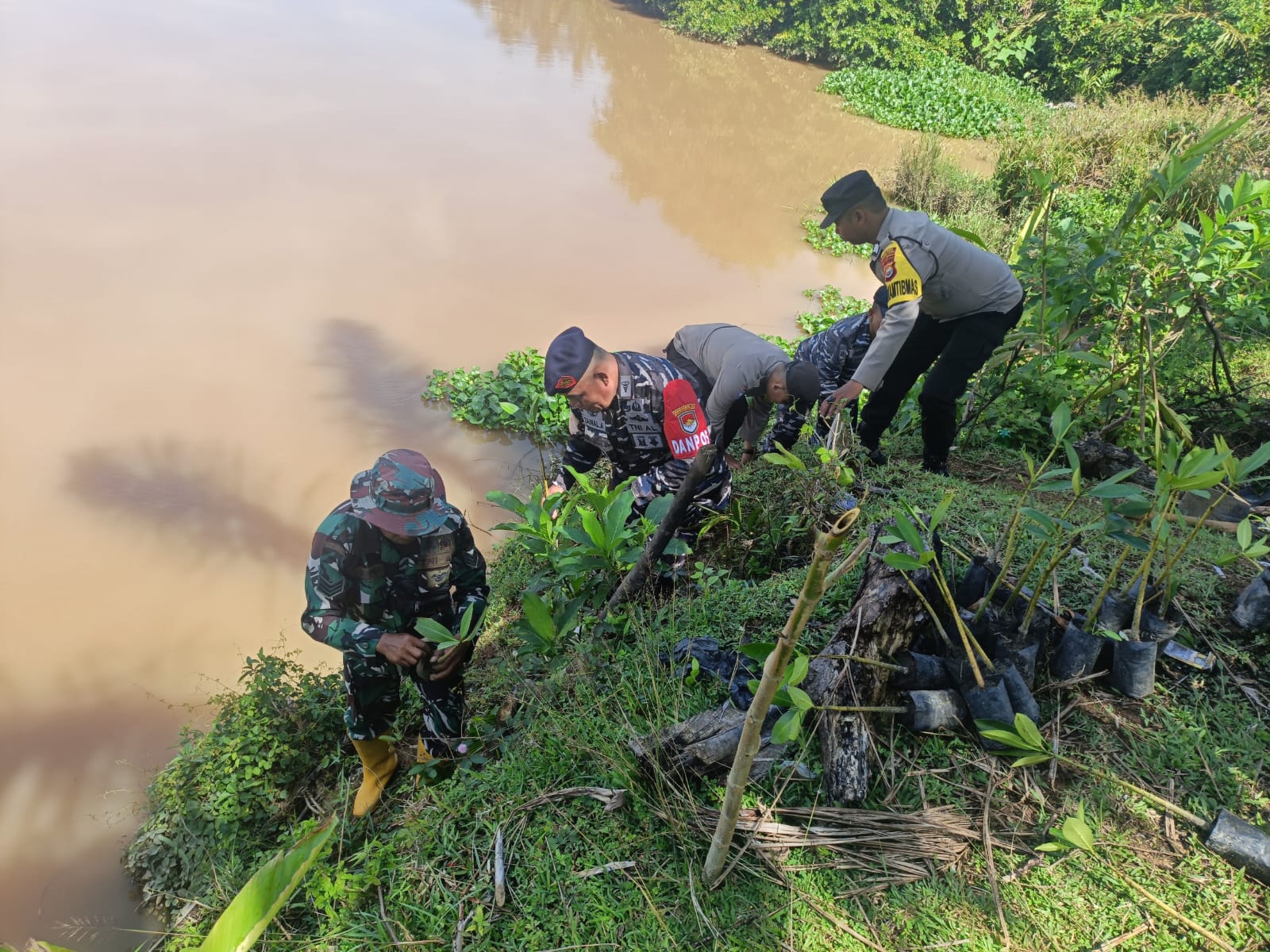 Posbinpotmar Bengkulu Tengah Bersinergi Dengan Koramil dan Polsek Pondok Kelapa Tanam Mangrove