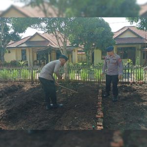 Dari Lahan Kosong Jadi Sumber Pangan, Brimob Sumut Kembangkan P2L di Batalyon C