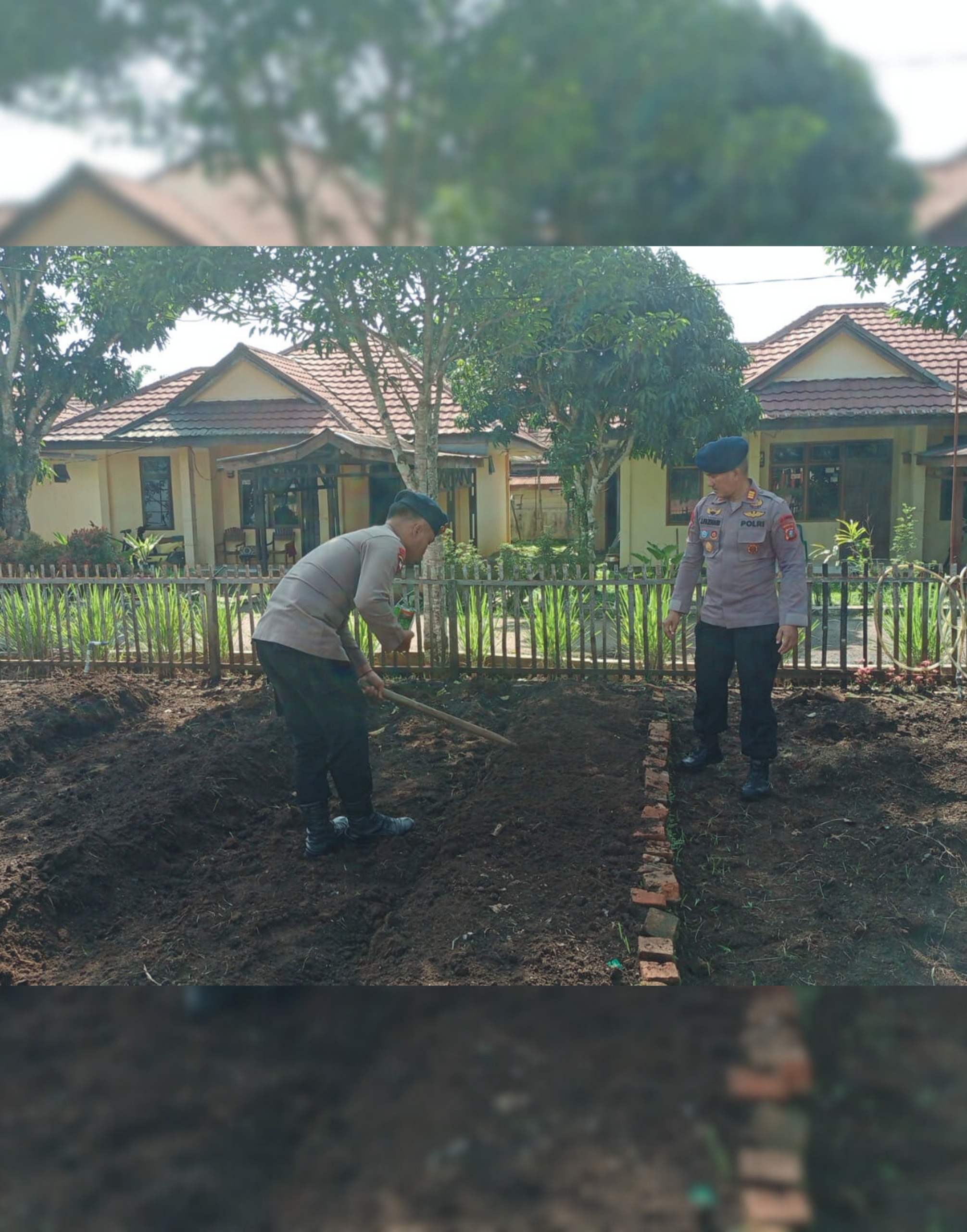 Dari Lahan Kosong Jadi Sumber Pangan, Brimob Sumut Kembangkan P2L di Batalyon C
