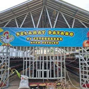 Lapas Paledang Optimalkan Lahan Tidur Lewat Program SAE, Kalapas Dorong Kontribusi Nyata Ketahanan Pangan Nasional