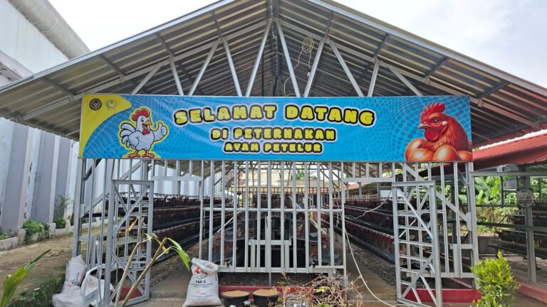 Lapas Paledang Optimalkan Lahan Tidur Lewat Program SAE, Kalapas Dorong Kontribusi Nyata Ketahanan Pangan Nasional