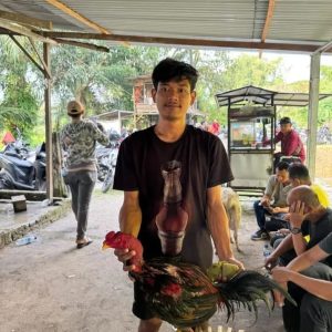 Kapolrestabes Perintahkan ” Gas “, Judi Gang Sejati Malah ” Rem Blong ” : Diduga Dikelola Oknum Aparat Berambut Cepak