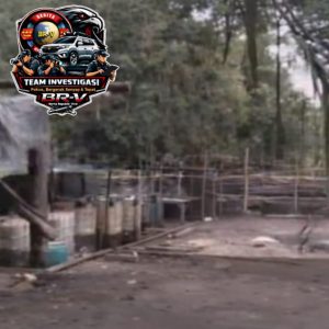 Jaringan Solar Ilegal di Lembak Diduga Terorganisir, Aktivitas Gudang ICN Berjalan Siang Malam Tanpa Sentuhan Hukum