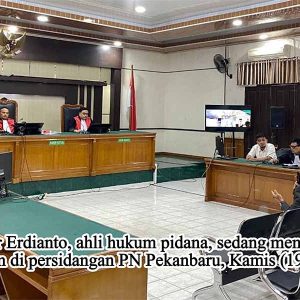 Tragedi Keadilan di Riau : Ketika Hak Konstitusional Diadili Tanpa Dasar Hukum