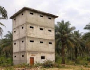 Penguasaan  Dan Perambahan Hutan Ratusan Ha Di Asahan Belum Dapat Tersentuh Hukum