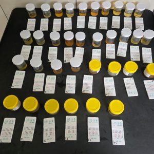 Mendadak! Polres Madiun Gelar Test Urine Bagi PJU dan Kapolsek, Wujudkan Zero Narkoba