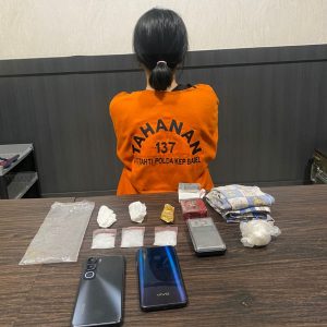 Simpan 29,61 Gram Sabu Didalam Tanah Dirumahnya, IRT Muda di Tempilang Ditangkap Polda Babel