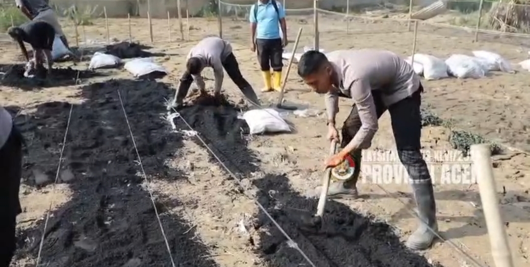 Taruna Akpol Pulihkan Ketahanan Pangan dan UMKM Warga Aceh Tamiang Lewat Pekarangan Pangan Lestari