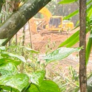 Kilo 16 Buol Membara: Nama Syam, ASN PUPR, Disebut dalam Pusaran Dugaan Tambang Emas Ilegal