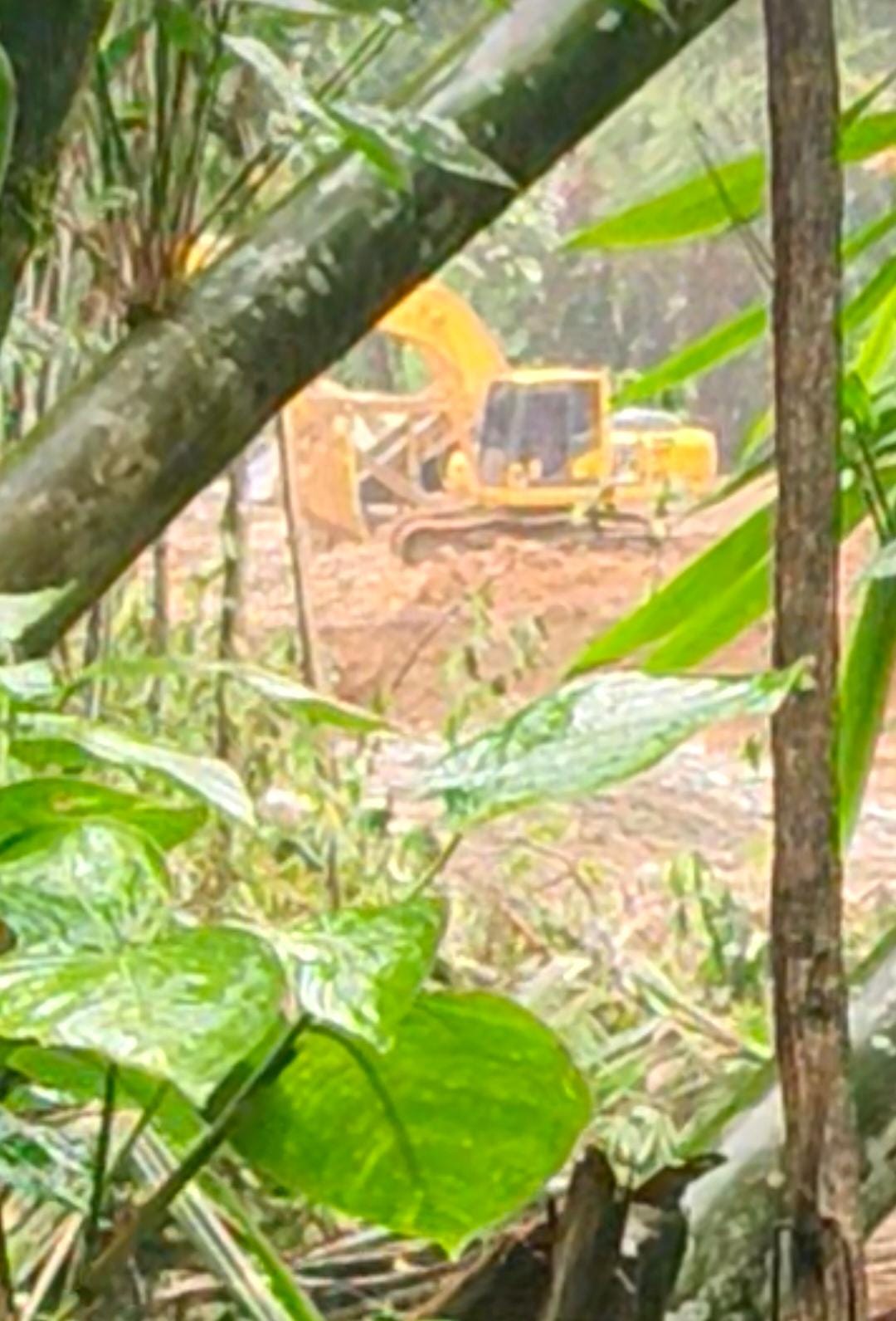 Kilo 16 Buol Membara: Nama Syam, ASN PUPR, Disebut dalam Pusaran Dugaan Tambang Emas Ilegal