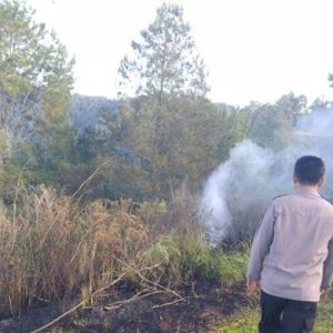 Sekira Tiga Hektar Lahan Pertanian Di Simalungun  Terbakar, Polisi  Selidiki  Penyebab nya