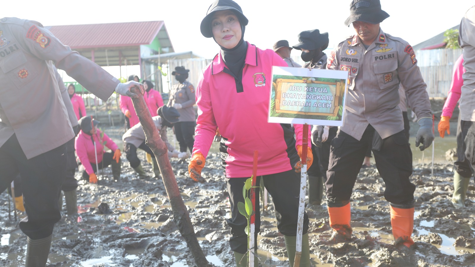 Green Policing Polda Aceh, Tanam 10 Ribu Mangrove untuk Perkuat Ketahanan Ekologi dan Ekonomi Desa Pesisir