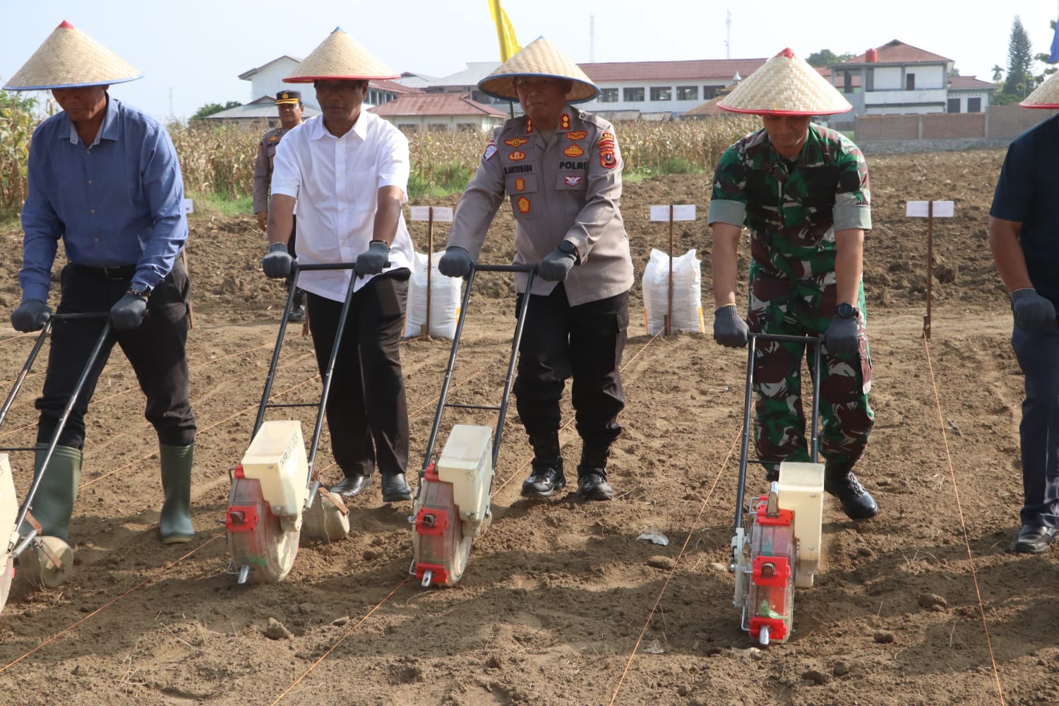 Kekompakan Forkopimda! Kapolres, Dandim dan Ketua DPRD Simalungun Kompak Tanam Jagung Serentak Dukung Swasembada Pangan