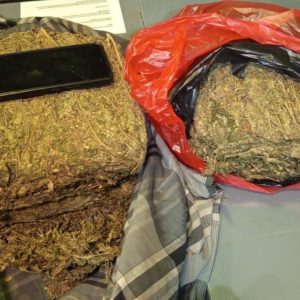 Polda Metro Jaya Menggagalkan Peredaran 4,3 KG Ganja di Wilayah Depok