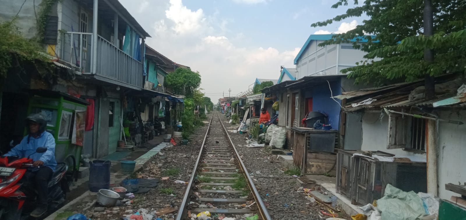 SEPANJANG BANTARAN REL KERETA API (KADAOPS VIII SURABAYA PASAR TURI ) PENUH BANGLI , SERING MEMAKAN KORBAN .