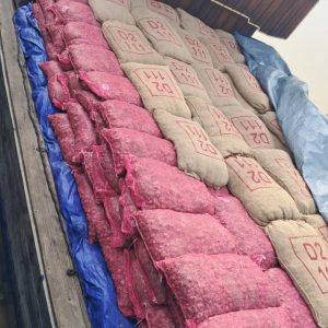 Kodam XIX/Tuanku Tambusai Gagalkan Penyelundupan Pangan Ilegal, 48,39 Ton Barang Bukti Diamankan dan Diserahkan ke Karantina Riau