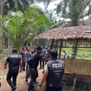 Polres Binjai Kembali Grebek dan Musnahkan Barak Narkoba di Kecamatan Selesai