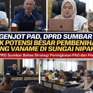 🦐🌊 Udang Vaname Bangkit: Mengguncang Tidur Potensi, Siap Jadi Mesin Baru PAD SUMBAR