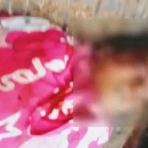 HMI Cabang Mandailing Natal Desak Penegakan Hukum Tanpa Kompromi atas Dugaan Pembunuhan di Lokasi Tambang Ilegal